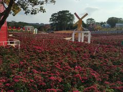 -松山湖梦幻百花洲