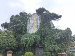 -云南野生动物园