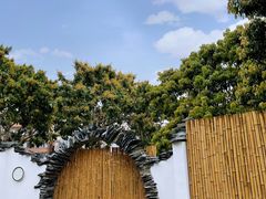 -梧桐山风景名胜区