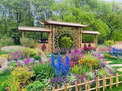 -上海共青森林公园