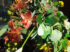 -IFIF 如果花園(宽厚里店)