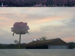 -栖露营camping·天幕烧烤·团建拓展·采摘营地