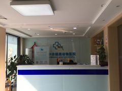 -喜多萌中农锦绣动物医院24H·猫科·牙科MRI·CT