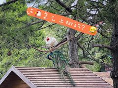 -有喜胶东小馆(太申祥和店)