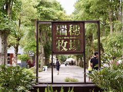 -瑞穗牧场
