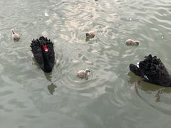 -宁波野生动物园
