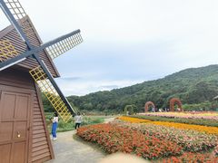 -广州市石门国家森林公园