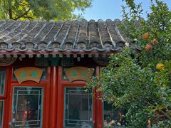 -花家怡园(四合院总店)