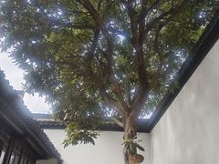 -南京市民俗博物馆(甘熙故居)