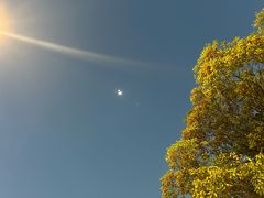 -复旦大学附属眼耳鼻喉科医院(浦东院区)