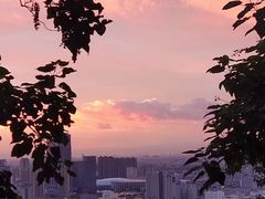 -临平公园(临平街道)