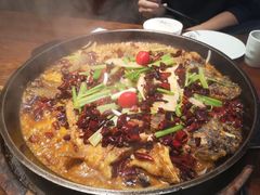 -老板恋上鱼(荣盛广场店)