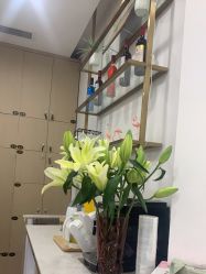-Kraemer paris·苏豪路易士·嘉玛发廊