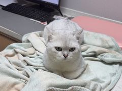 -宠颐生宠物医院·异宠猫科内科·诊疗中心宠巢店