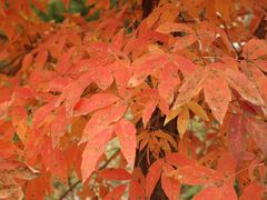 -丹东天桥沟景区