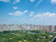 -君悦酒店·乐厨·高空自助餐(青年大街店)
