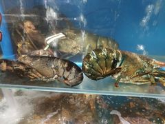 -蚝专家(北滘店)