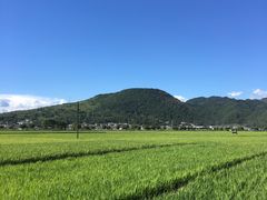 -腾冲和顺柏联酒店