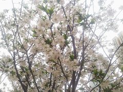 -武商摩尔影城(国广IMAX激光店)