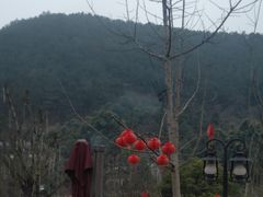-楠柏弯休闲山庄(梨花溪店)