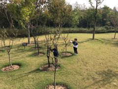 -上海长兴岛郊野公园