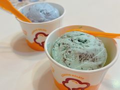 -iceason爱茜茜里·意大利健康冰淇淋(骑龙巷店)