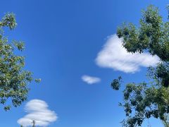 -中国铁道博物馆(东郊展馆)