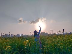 -光明小镇欢乐田园
