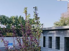 -苦尽酒馆·川菜(鼓楼店)