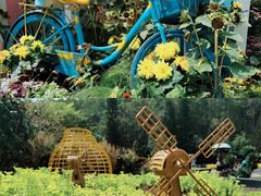 -深圳仙湖植物园