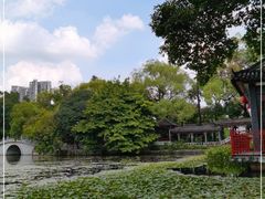 -荔湾湖公园