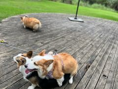 -桤木河湿地公园