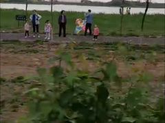 -西青郊野公园
