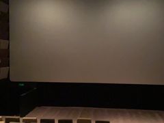 -武商摩尔影城(国广IMAX激光店)