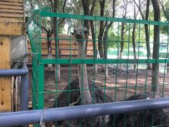 -长白岛森林公园