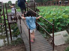 -武汉紫薇都市田园