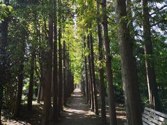 -上海长兴岛郊野公园