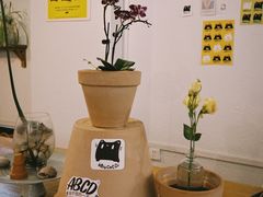 -ABCD咖啡屋(妇幼店)