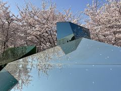 -龙美术馆(西岸馆)