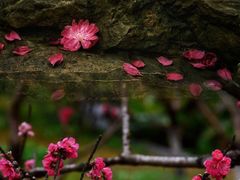-桃花涧