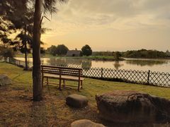 -漩门湾国家湿地公园