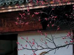 -梅花山(明孝陵内)
