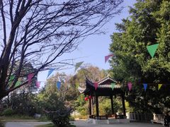 -乌山风景区