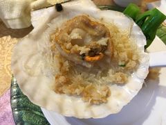 -北海渔村酒楼·粤菜海鲜点心(新华店)