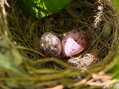 -歌迷量贩KTV(光彩市场店)