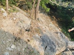 -北京鹫峰国家森林公园