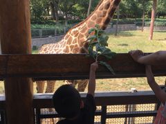 -石家庄市动物园