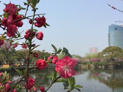 -无锡蠡湖国家湿地公园-蠡园