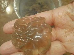 -青岛银沙滩