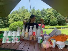 -铁山坪森林公园